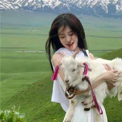 阿达一族大集合